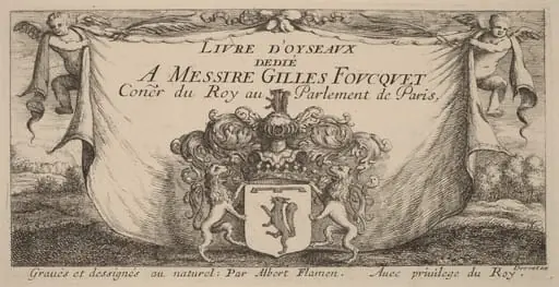 Title Page for "Livre d'oiseaux", by Albert Flamen