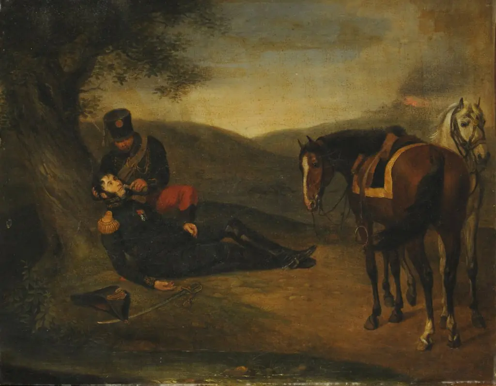 General wounded, by Albrecht Adam