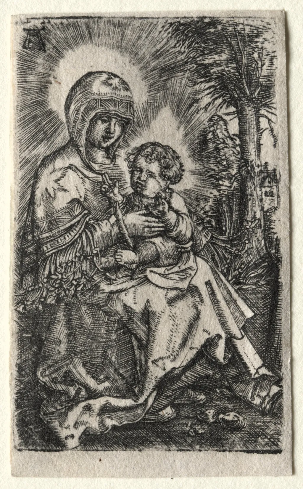 The Beautiful Virgin of Ratisbon in a Landscape, by Albrecht Altdorfer, 1520