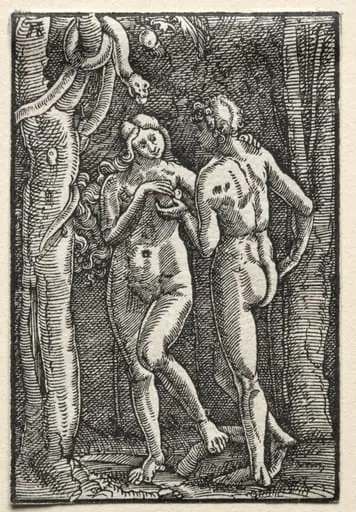The Fall and Redemption of Man:  Adam and Eve Eating the Forbidden Fruit, by Albrecht Altdorfer