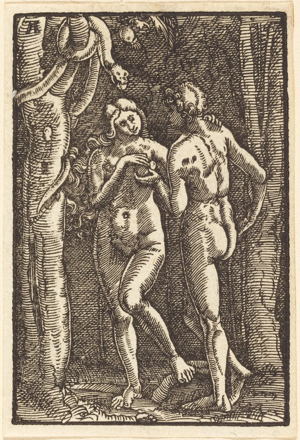 The Fall of Man, by Albrecht Altdorfer, ink, 1513