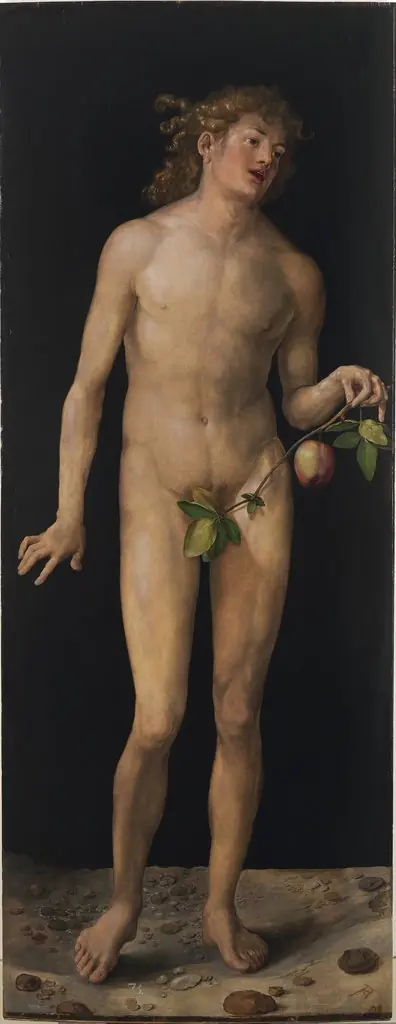 Adam, by Albrecht Dürer