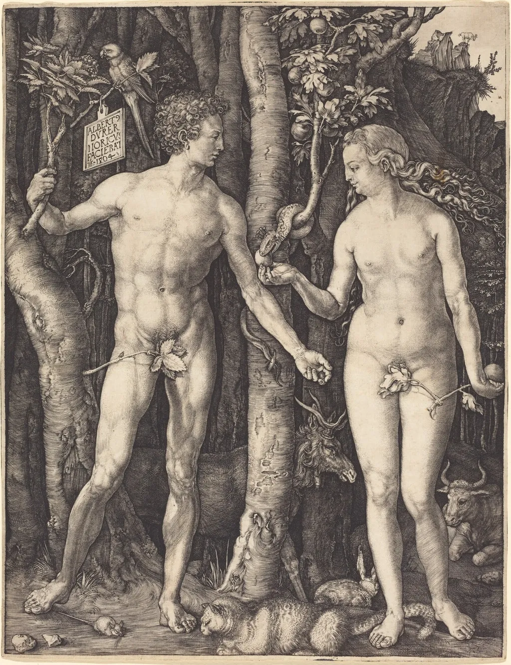 Adam and Eve, by Albrecht Dürer, ink, 1504