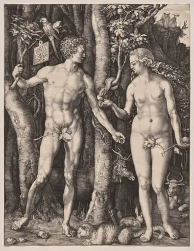 Adam and Eve, by Albrecht Dürer