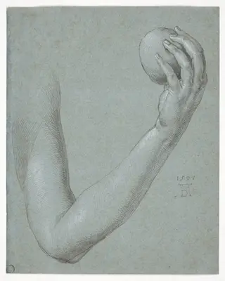 Arm of Eve, by Albrecht Dürer, 1507