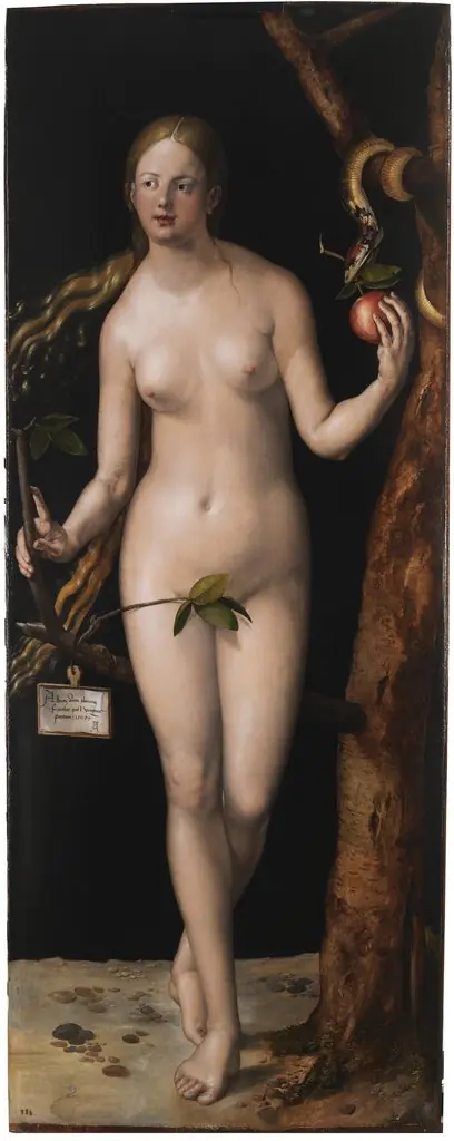 Eve, by Albrecht Dürer