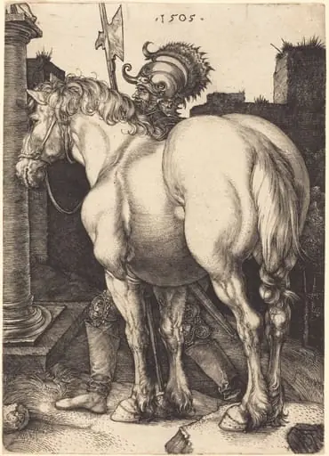 Large Horse, by Albrecht Dürer