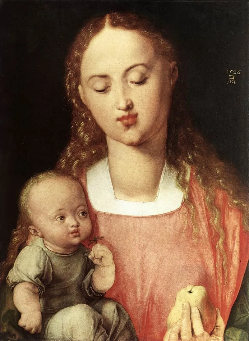 Madonna and Child, by Albrecht Dürer, oil, 1526