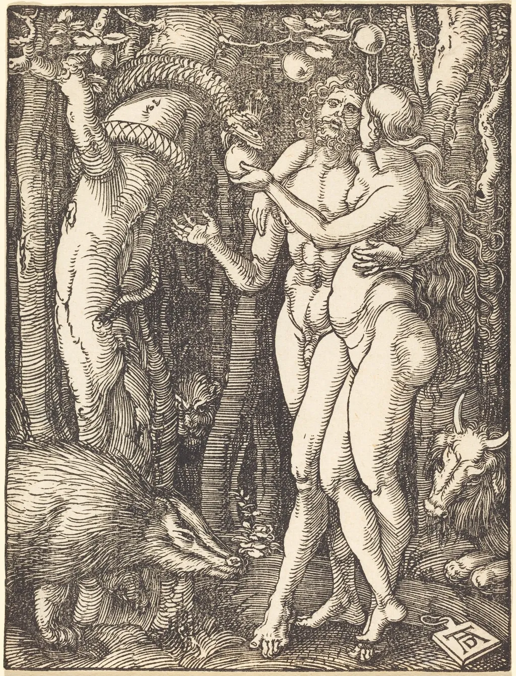 The Fall of Man, by Albrecht Dürer, ink, 1510