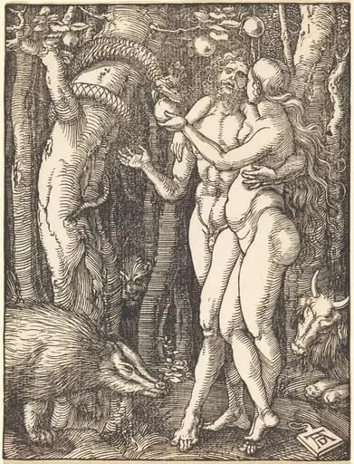 The Fall of Man, by Albrecht Dürer
