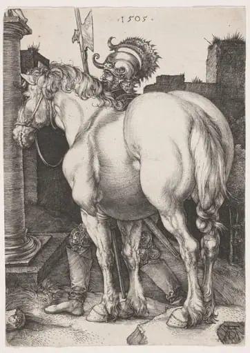 The Large Horse, by Albrecht Dürer