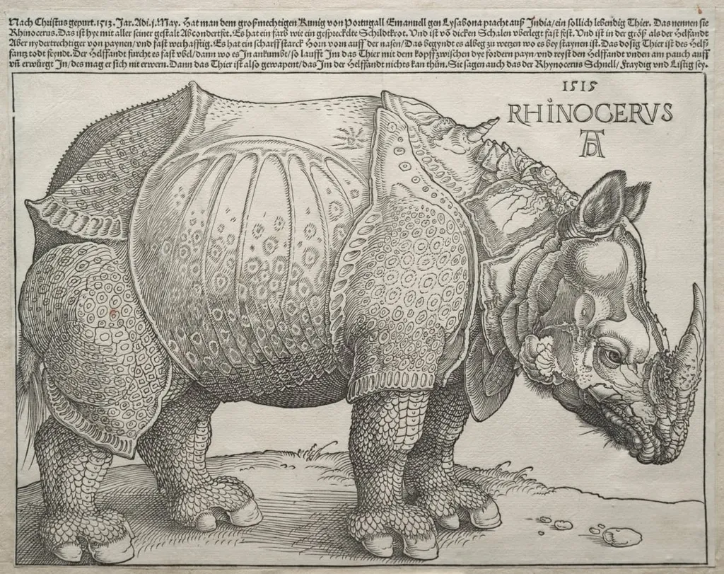 The Rhinoceros, by Albrecht Dürer, 1515
