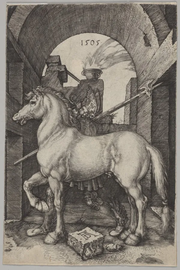 The Small Horse, by Albrecht Dürer, 1505