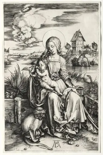 The Virgin and Child with a Monkey, by Albrecht Dürer