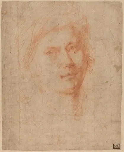 Head of a Youth, by Alessandro Allori