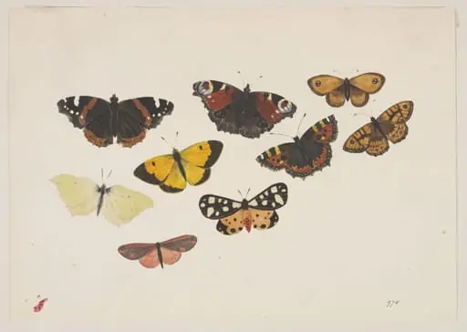 Untitled, by Alexander Dyce