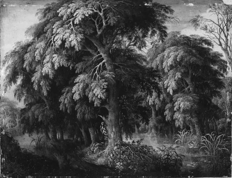 Wooded Landscape, by Alexander Keirincx
