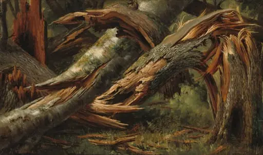 Fallen Tree, by Alexandre Calame