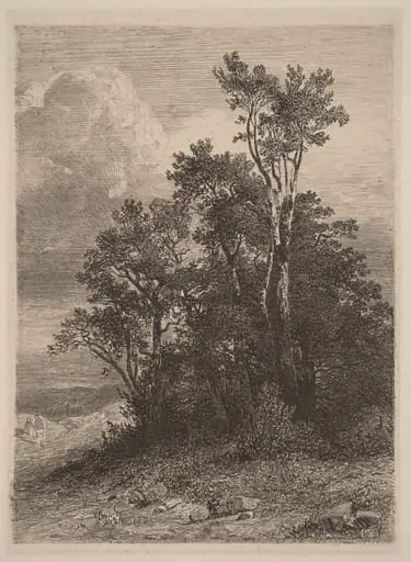 Grove of Trees, by Alexandre Calame