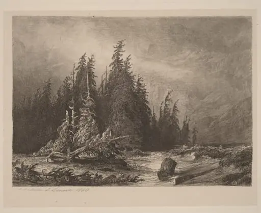 Mountain PInes, by Alexandre Calame