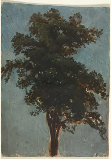 Tree Study, by Alexandre Calame