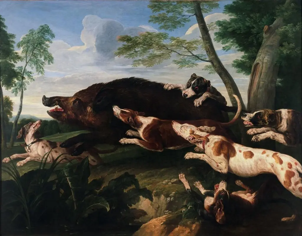 La Chasse au sanglier, by Alexandre-François Desportes