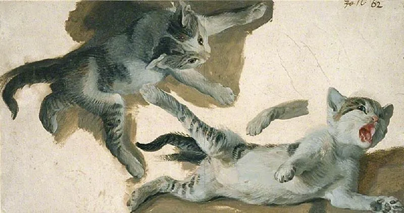 Sketches of a kitten, by Alexandre-François Desportes, unspecified, 1711