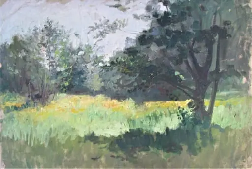 Luminiș cu flori galbene, by Alexandru Carol Satmary