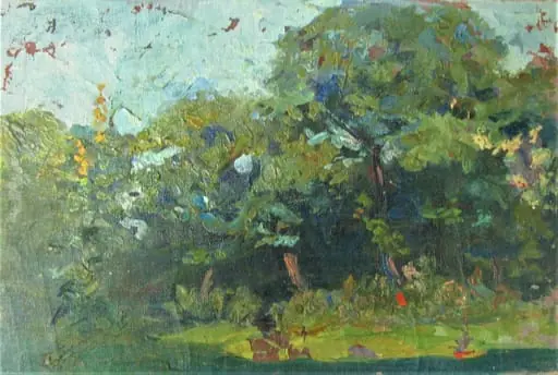 Poiana, by Alexandru Carol Satmary