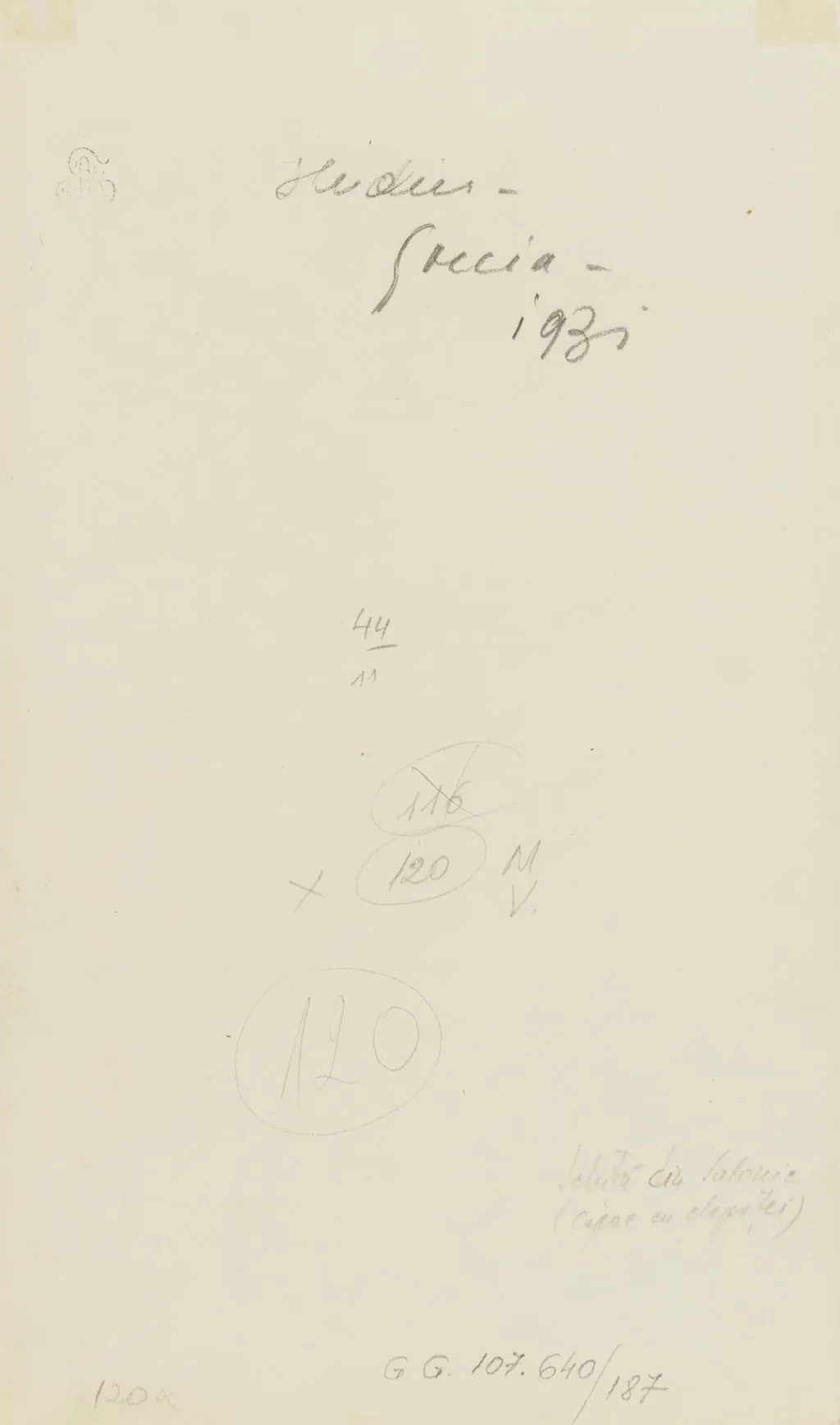 COPACUL DIN SALONIC, by Alexandru Phoebus, unspecified, 1931