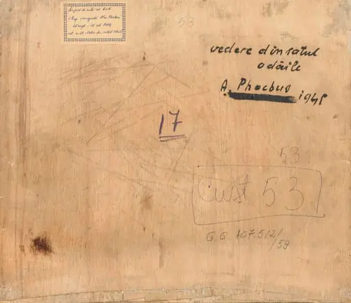 VEDERE DIN SATUL ODĂILE, by Alexandru Phoebus