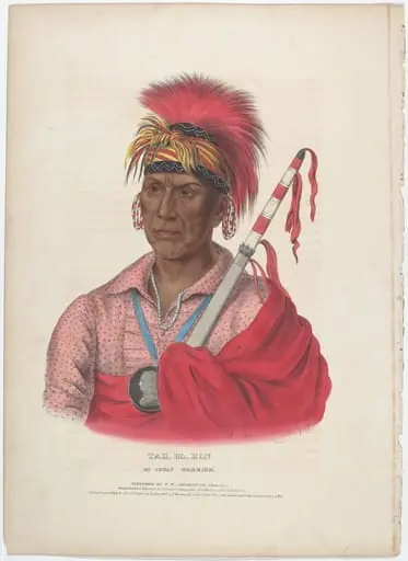 Tah-Ro-Hon, An Ioway Warrior, by Alfred Hoffy