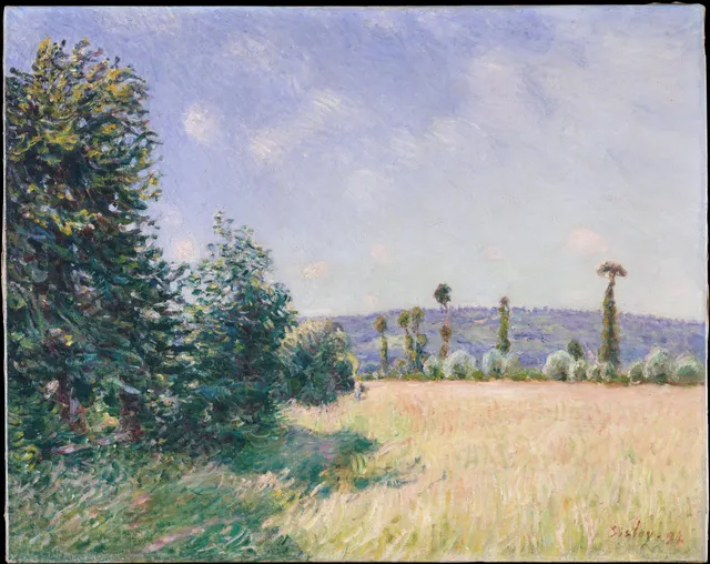 Sahurs Meadows in Morning Sun