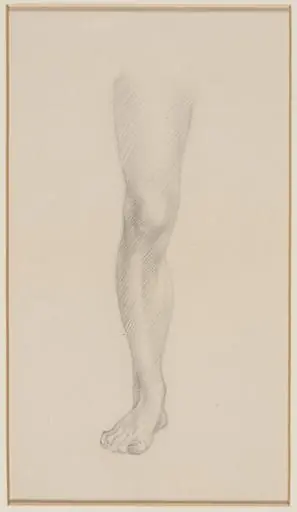 Leg, by Alfred William Rich
