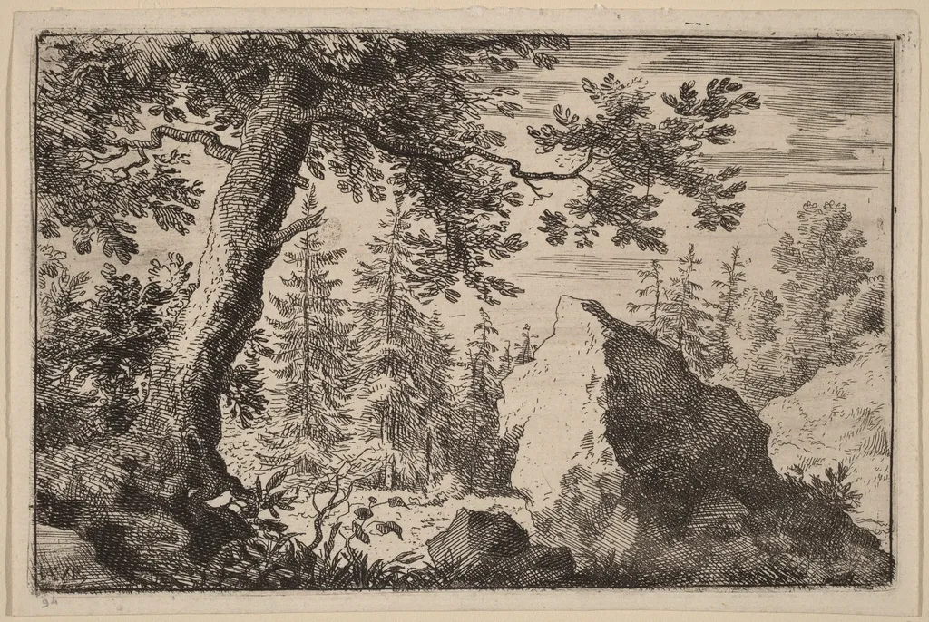 Boulder in the Woods, by Allart van Everdingen, ink, 1650