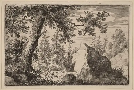 Boulder in the Woods, by Allart van Everdingen