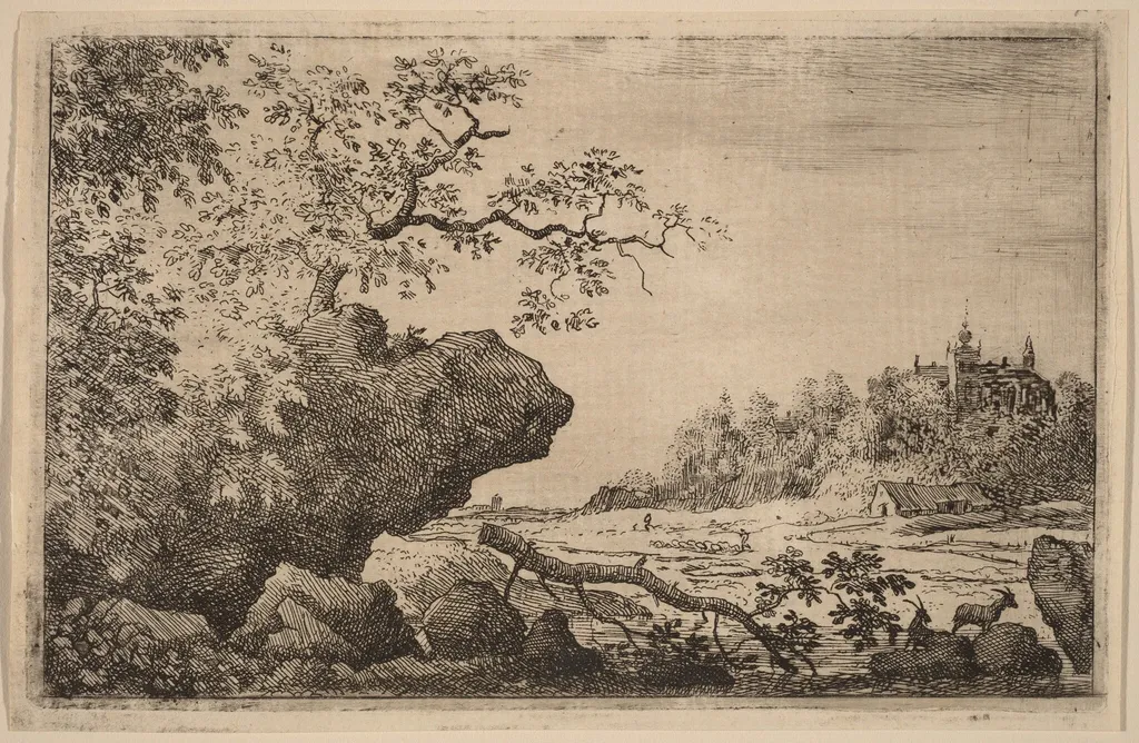 Branch in the Water, by Allart van Everdingen, ink, 1650