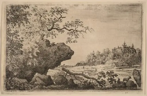 Branch in the Water, by Allart van Everdingen