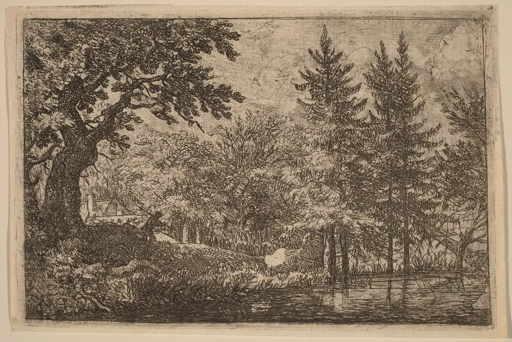 Fir Trees at the Water, by Allart van Everdingen, ink, 1650