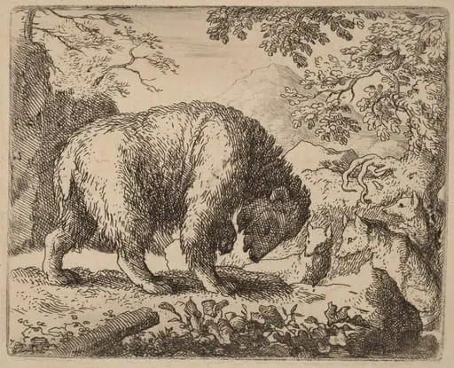 The Bear Distracted with Talk of Honey, by Allart van Everdingen