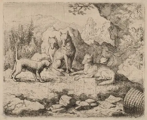 The Cat Sent as Messenger, by Allart van Everdingen