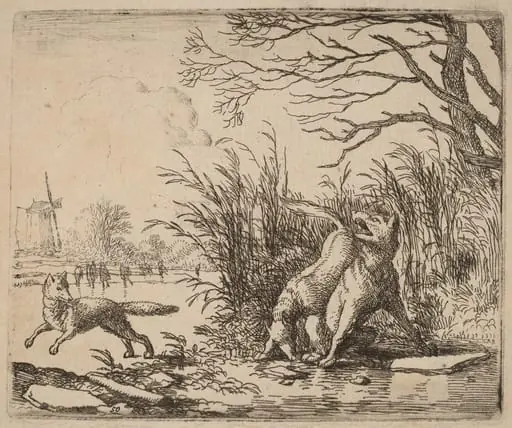 The Wolves on the Ice, by Allart van Everdingen