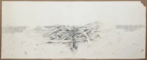 O bucățică de grind, by Alma Rusescu