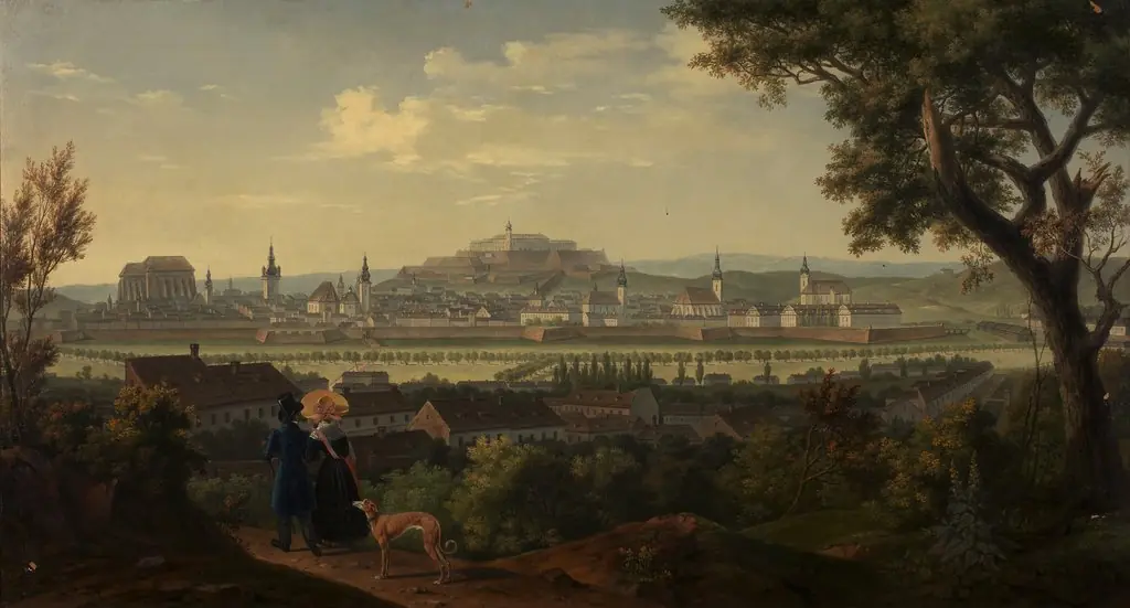 Brünn mit Spielberg, by Alois von Saar
