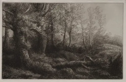 A Woodland Study, by Alphonse Legros