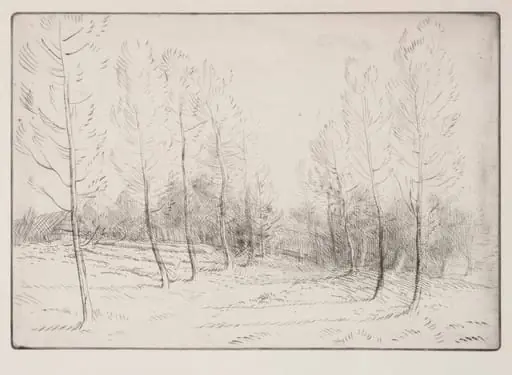 Avenue of Poplars, by Alphonse Legros