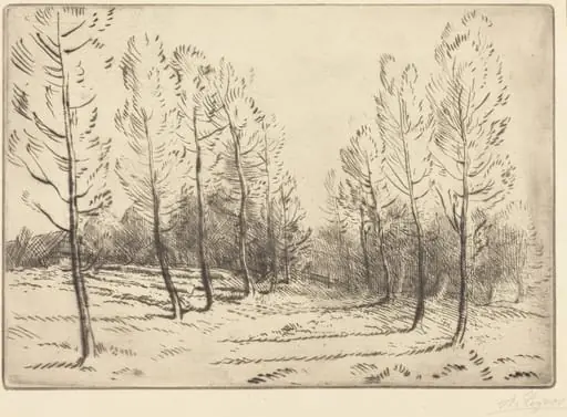 Avenue of Poplars (L'allee de peupliers), by Alphonse Legros