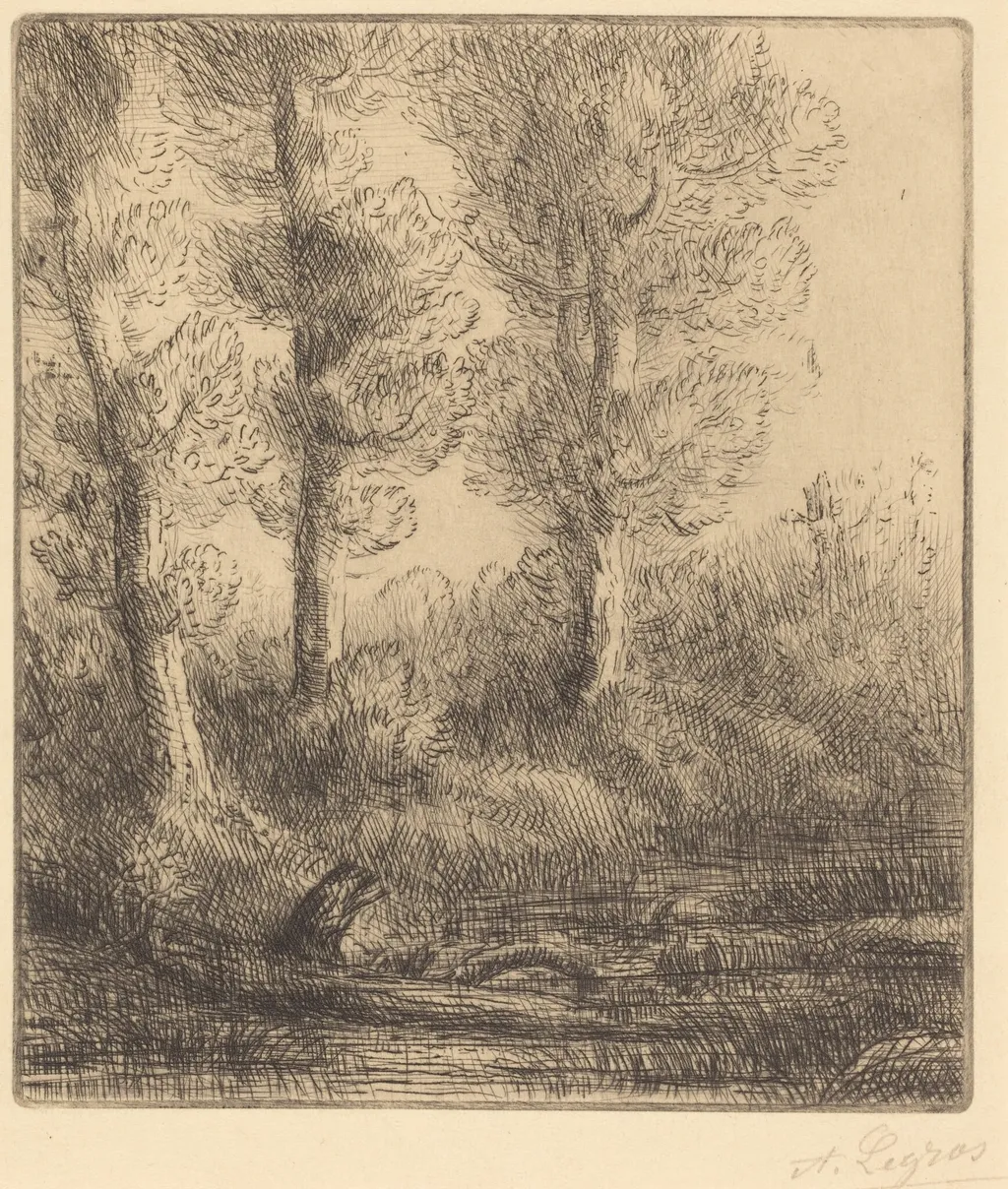 Banks of the Saint-Pre (Rive du Saint-Pre), by Alphonse Legros, ink, 1874