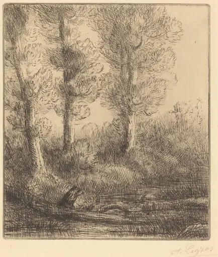 Banks of the Saint-Pre (Rive du Saint-Pre), by Alphonse Legros