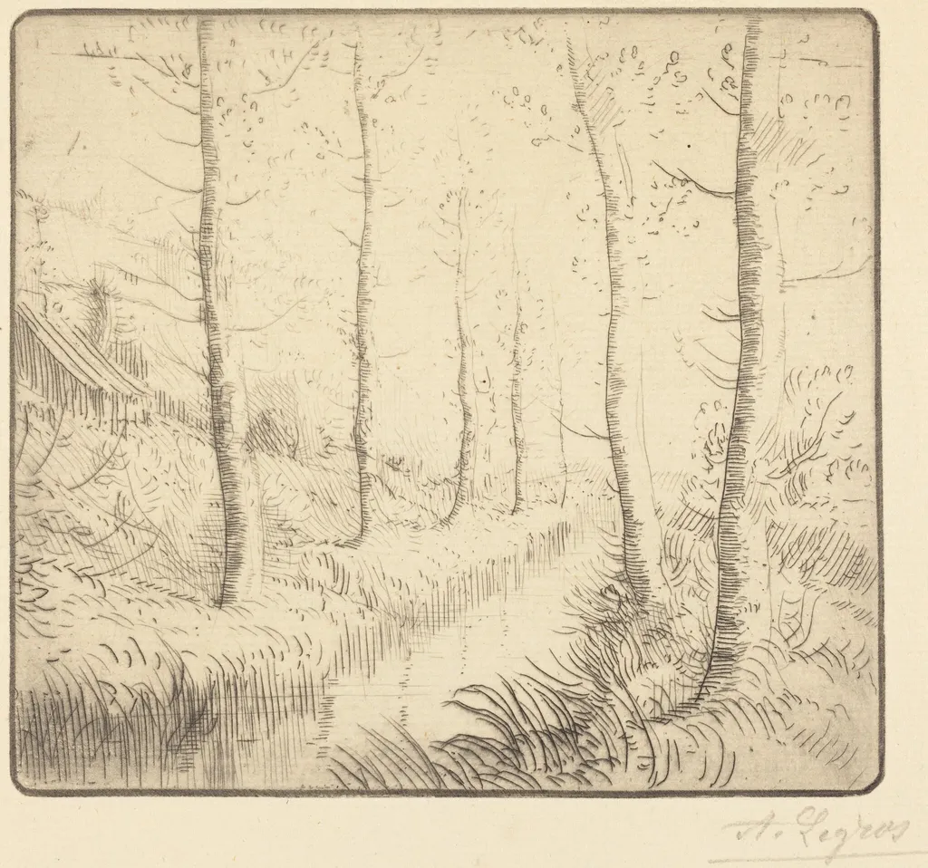 Birch Trees along the Water (Les bouleaux: Bord de l'eau), by Alphonse Legros, ink, 1874